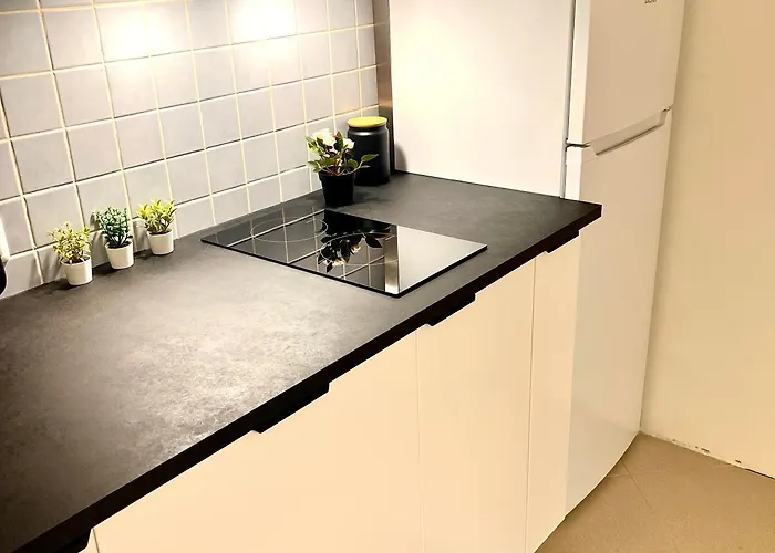 Woodstock Ix, Self Check-in * Ρίγα