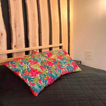 Woodstock Ix, Self Check-in 公寓 里加